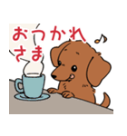 陽気なダックスフンド/レッド（個別スタンプ：10）