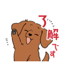 陽気なダックスフンド/レッド（個別スタンプ：12）