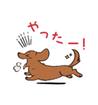 陽気なダックスフンド/レッド（個別スタンプ：14）