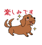 陽気なダックスフンド/レッド（個別スタンプ：16）