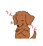 陽気なダックスフンド/レッド（個別スタンプ：17）