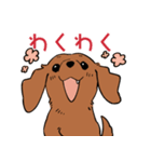 陽気なダックスフンド/レッド（個別スタンプ：18）