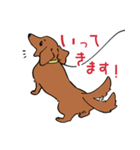 陽気なダックスフンド/レッド（個別スタンプ：22）