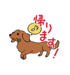 陽気なダックスフンド/レッド（個別スタンプ：23）