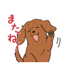 陽気なダックスフンド/レッド（個別スタンプ：26）