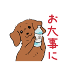 陽気なダックスフンド/レッド（個別スタンプ：27）