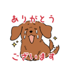 陽気なダックスフンド/レッド（個別スタンプ：38）