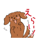 陽気なダックスフンド/レッド（個別スタンプ：39）