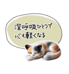 魔法の言葉 心が軽くなる 心のスタンプ（個別スタンプ：2）