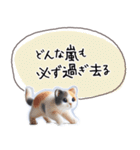魔法の言葉 心が軽くなる 心のスタンプ（個別スタンプ：3）