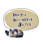 魔法の言葉 心が軽くなる 心のスタンプ（個別スタンプ：5）