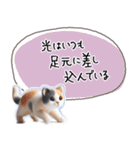 魔法の言葉 心が軽くなる 心のスタンプ（個別スタンプ：7）