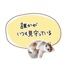 魔法の言葉 心が軽くなる 心のスタンプ（個別スタンプ：8）