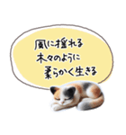 魔法の言葉 心が軽くなる 心のスタンプ（個別スタンプ：10）