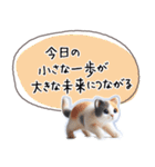 魔法の言葉 心が軽くなる 心のスタンプ（個別スタンプ：11）