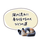 魔法の言葉 心が軽くなる 心のスタンプ（個別スタンプ：13）