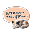 魔法の言葉 心が軽くなる 心のスタンプ（個別スタンプ：14）
