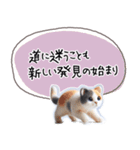 魔法の言葉 心が軽くなる 心のスタンプ（個別スタンプ：15）