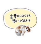 魔法の言葉 心が軽くなる 心のスタンプ（個別スタンプ：16）
