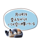 魔法の言葉 心が軽くなる 心のスタンプ（個別スタンプ：17）