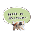魔法の言葉 心が軽くなる 心のスタンプ（個別スタンプ：19）
