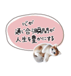 魔法の言葉 心が軽くなる 心のスタンプ（個別スタンプ：20）