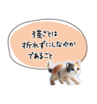 魔法の言葉 心が軽くなる 心のスタンプ（個別スタンプ：23）