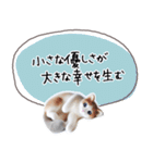魔法の言葉 心が軽くなる 心のスタンプ（個別スタンプ：24）