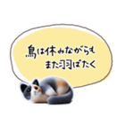 魔法の言葉 心が軽くなる 心のスタンプ（個別スタンプ：25）