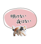 魔法の言葉 心が軽くなる 心のスタンプ（個別スタンプ：27）