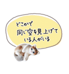 魔法の言葉 心が軽くなる 心のスタンプ（個別スタンプ：28）