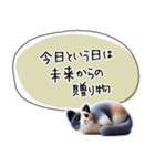 魔法の言葉 心が軽くなる 心のスタンプ（個別スタンプ：29）