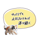 魔法の言葉 心が軽くなる 心のスタンプ（個別スタンプ：31）