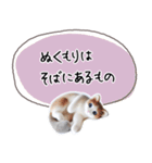 魔法の言葉 心が軽くなる 心のスタンプ（個別スタンプ：32）