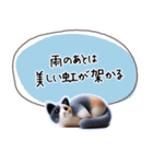 魔法の言葉 心が軽くなる 心のスタンプ（個別スタンプ：33）