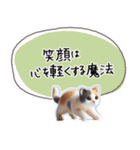 魔法の言葉 心が軽くなる 心のスタンプ（個別スタンプ：35）