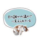 魔法の言葉 心が軽くなる 心のスタンプ（個別スタンプ：36）