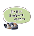 魔法の言葉 心が軽くなる 心のスタンプ（個別スタンプ：37）