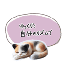 魔法の言葉 心が軽くなる 心のスタンプ（個別スタンプ：38）