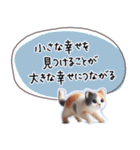 魔法の言葉 心が軽くなる 心のスタンプ（個別スタンプ：39）