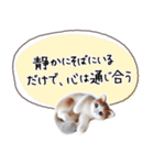 魔法の言葉 心が軽くなる 心のスタンプ（個別スタンプ：40）