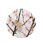 こびとたち【春】（個別スタンプ：24）