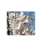 カワイイ動く桜スタンプ（個別スタンプ：14）