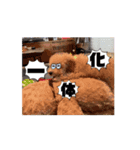 大好きサラン（個別スタンプ：7）