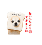 こざーなわんこすたんぷ（個別スタンプ：10）