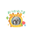 うさぎがんばれココ（個別スタンプ：2）