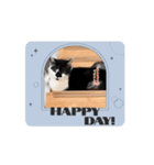 猫のぶーちゃん♡（個別スタンプ：5）