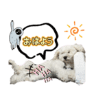 ジョア スタンプ（個別スタンプ：2）