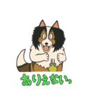 シェルティのジョナサン トークスタンプ3（個別スタンプ：1）