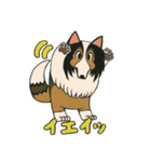 シェルティのジョナサン トークスタンプ3（個別スタンプ：2）